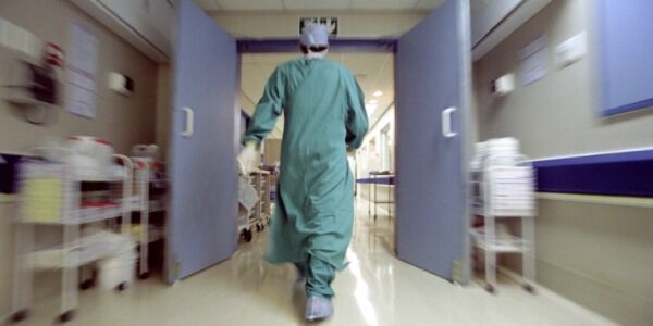 Choc a Napoli, contrae il virus dell’aviaria. Ora è in coma Choc a Napoli, contrae il virus dell’aviaria. Ora è in coma