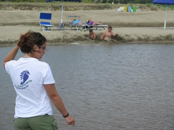 Campania, Legambiente lancia l’allarme: “Coste inquinate”. Ecco i tratti più a rischio Campania, Legambiente lancia l’allarme: “Coste inquinate”. Ecco i tratti più a rischio