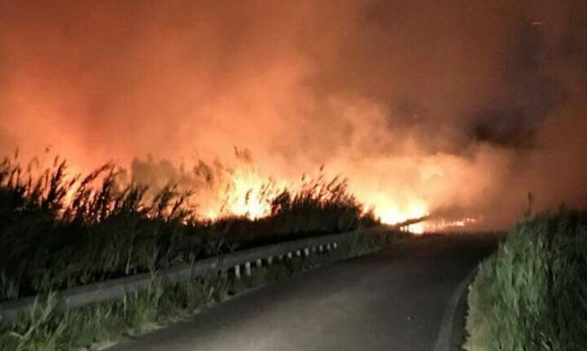 Incendio a Lago Patria, paura per le abitazioni - Tele Club Italia