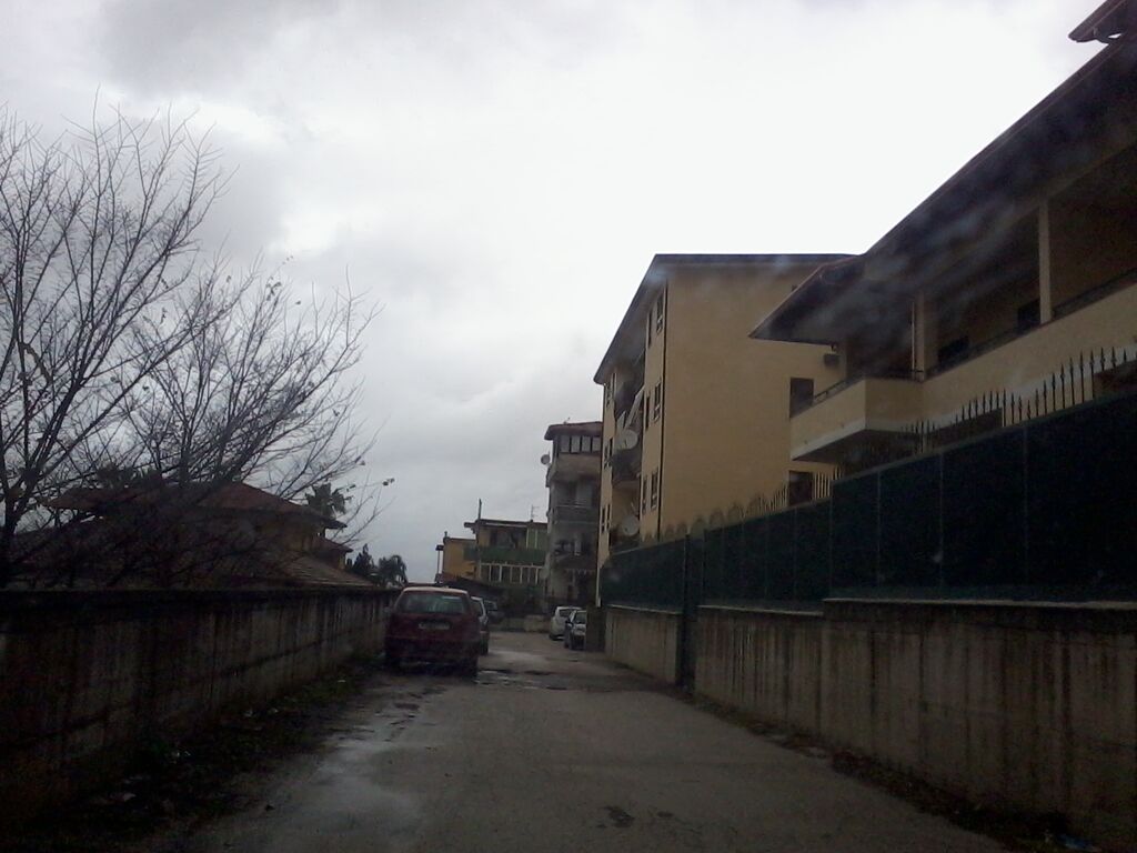 platone