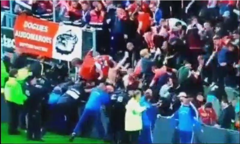 tifosi