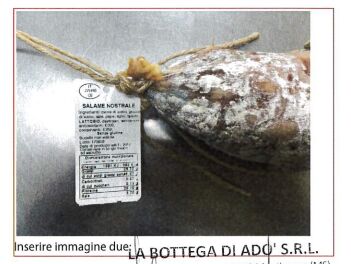 salame salmonella