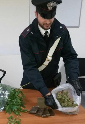 sequestro marijuana carabinieri marano