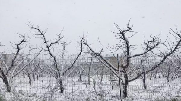 allerta meteo per neve nel napoletano