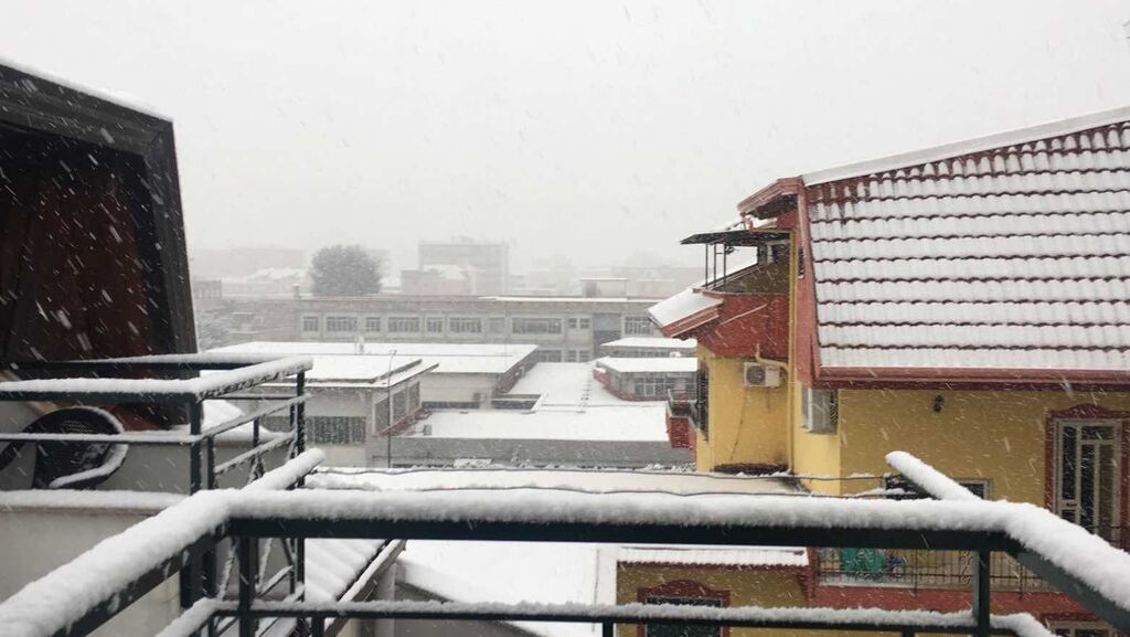 neve giugliano