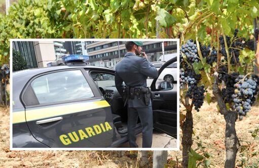 finanza vino zucchero sequestro 12 milioni di euro arresti campania