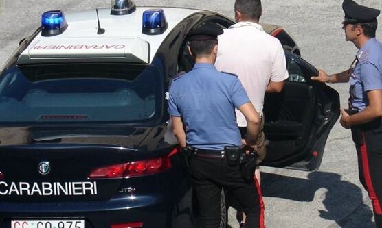 arrestato raffaele palma clan de rosa