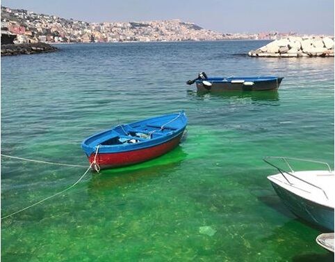 mare verde posillipo inquinamento