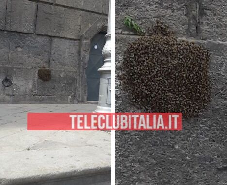 api piazza annunziata giugliano