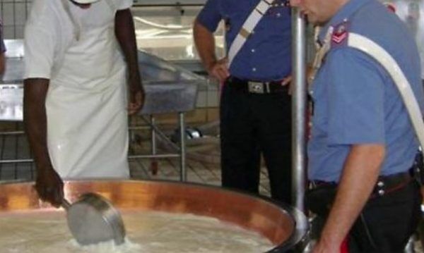 san giuseppe vesuviano mozzarella sequestrata san giuseppe vesuviano mozzarella sequestrata