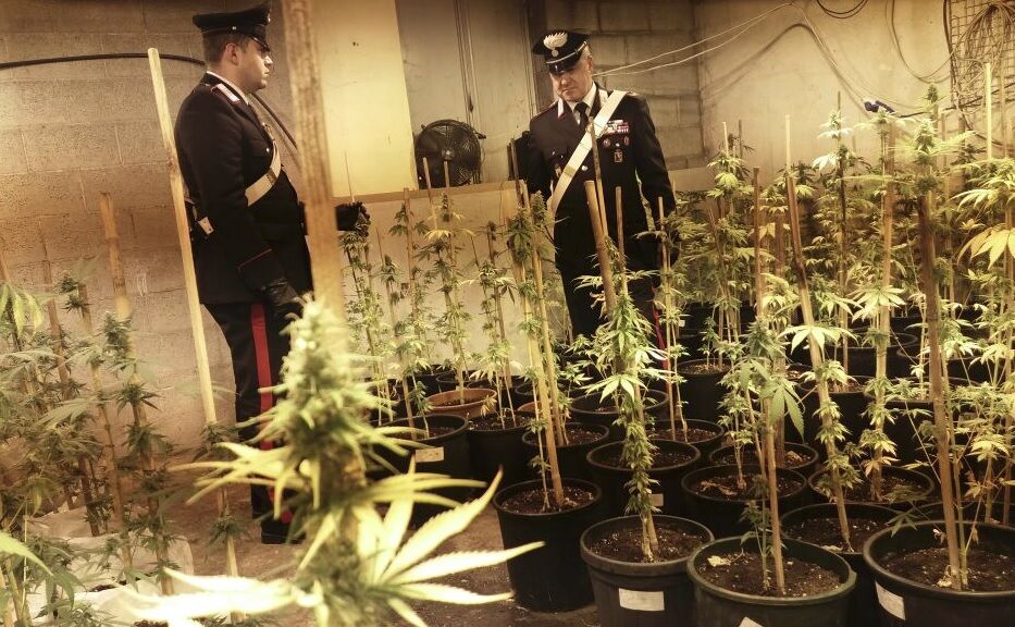 carabinieri varcaturo arresto cannabis droga
