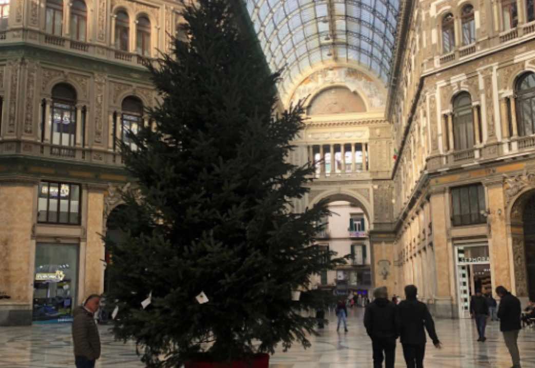 albero natale napoli