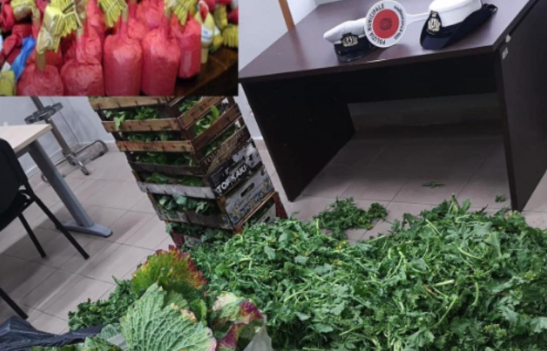 frattamaggiore controlli alimenti frattamaggiore controlli alimenti