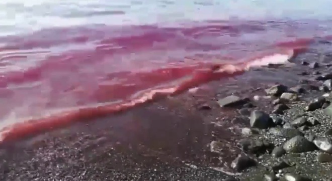 napoli mare rosso