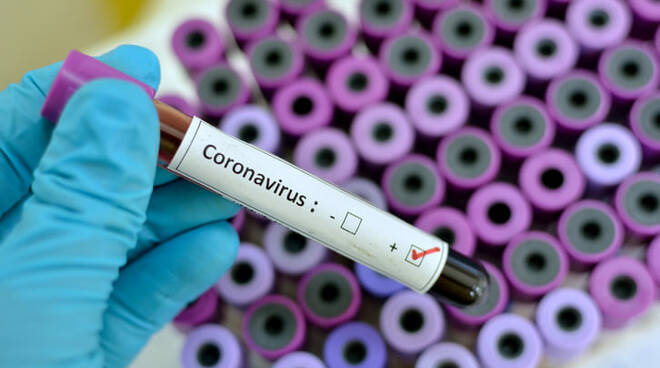 coronavirus melito