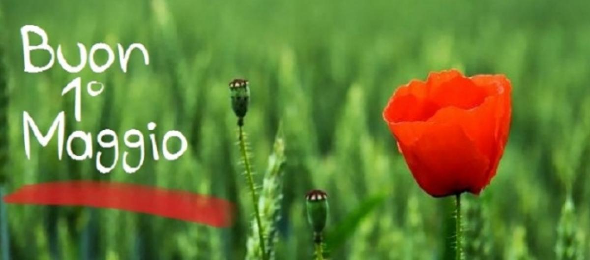 frasi immagini 1 maggio