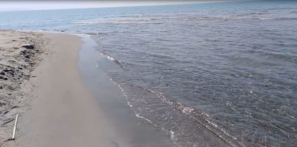 mare varcaturo