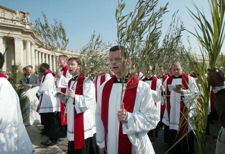 significato ulivo domenica delle palme