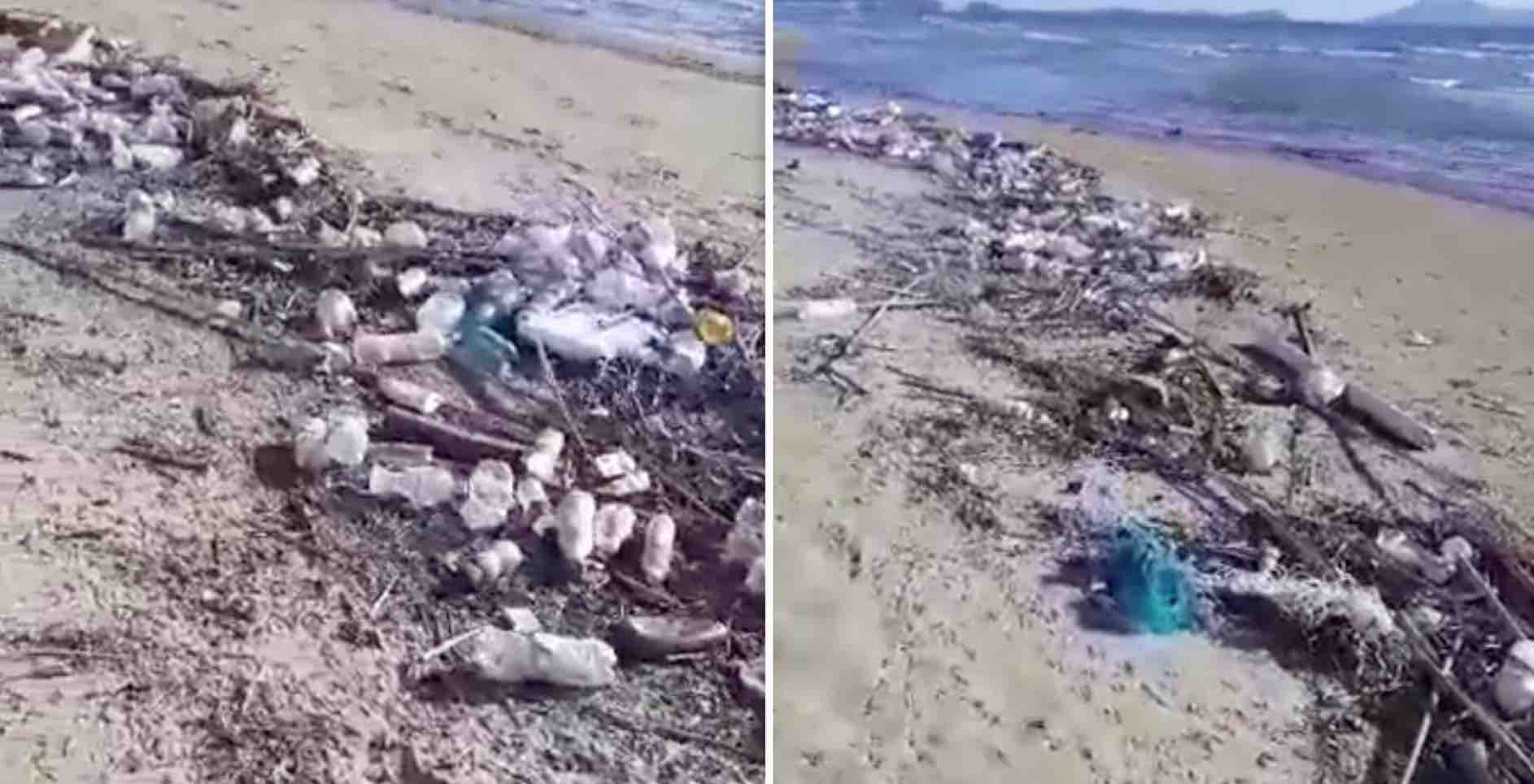 Licola spiaggia discarica