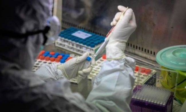 coronavirus campania 8 agosto