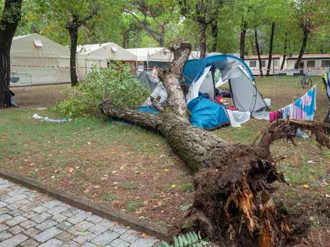 marina di massa albero tenda