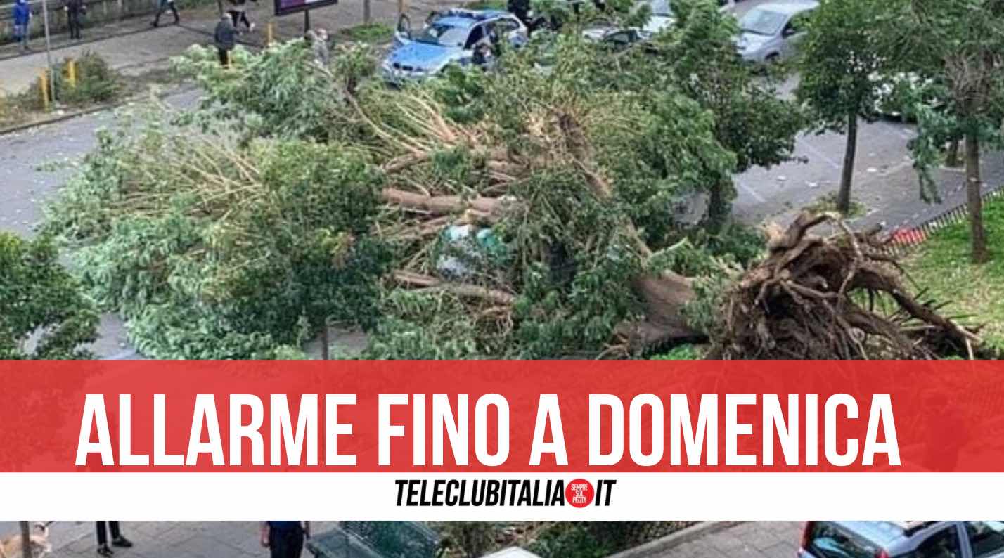 allerta vento campania meteo