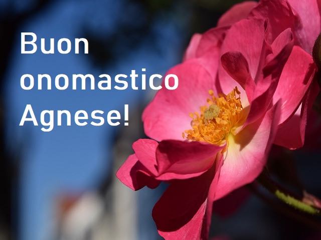 buon-onomastico-agnese frasi auguri