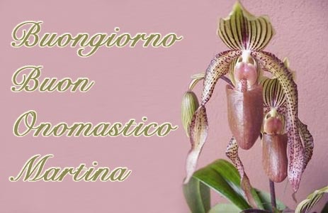 martina frasi auguri onomastico