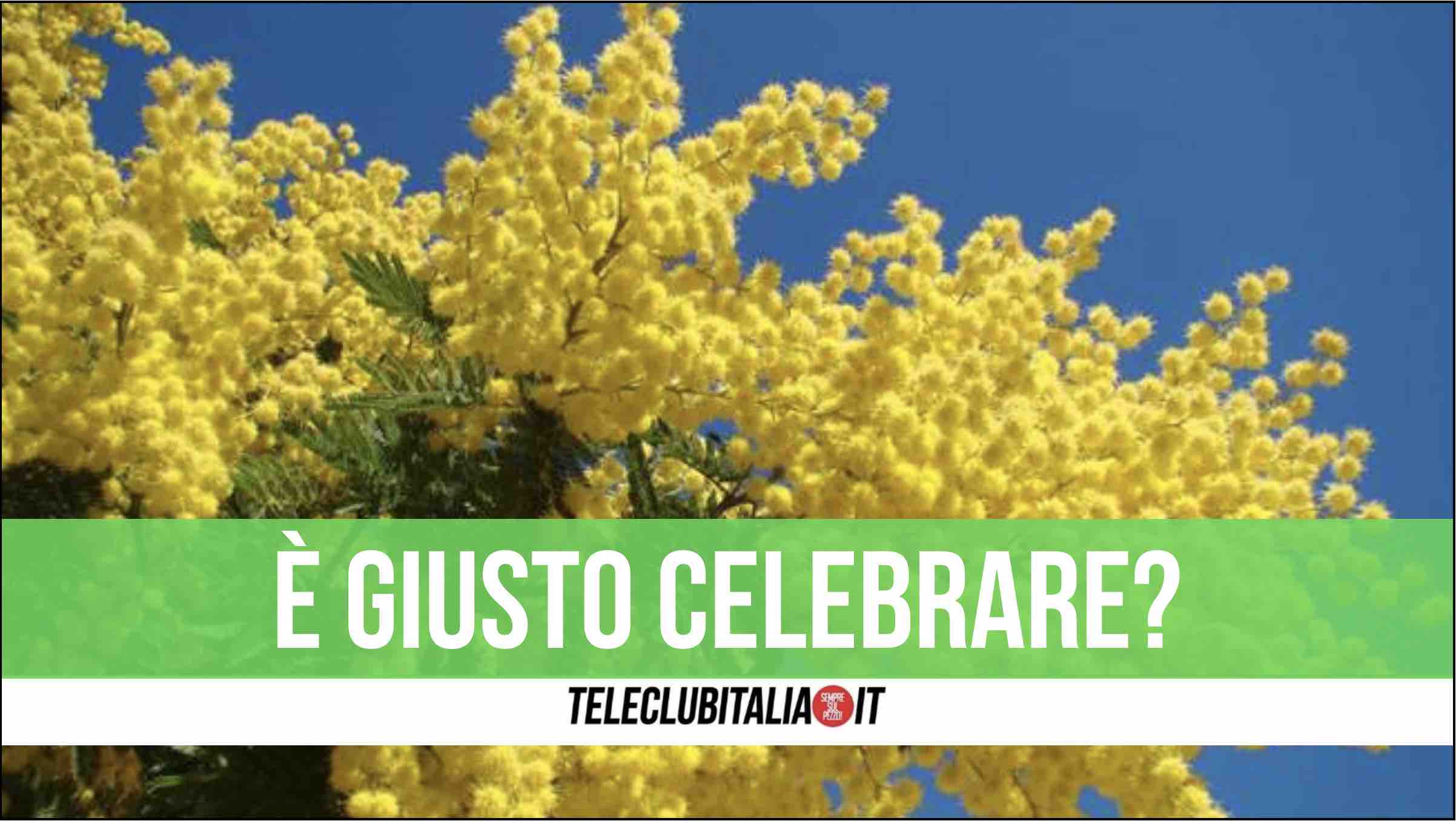 mimosa giornata internazionele della donna giugliano