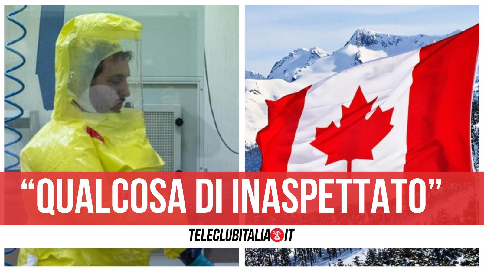 canada nuova malattia neurologica mucca pazza