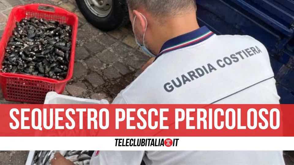 sequestro pesce ercolano