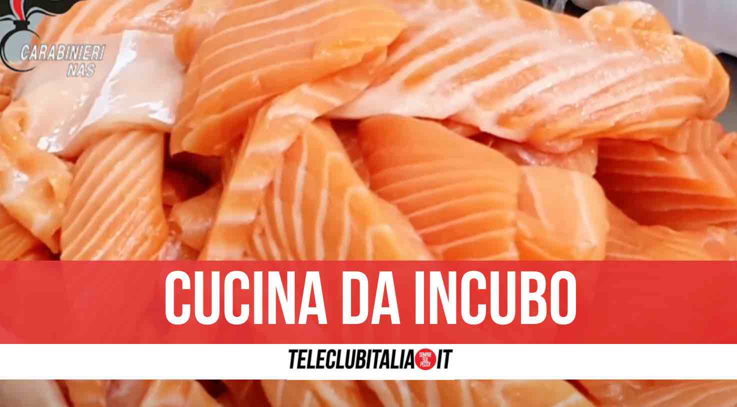 sushi scarafaggi e insetti in cucina