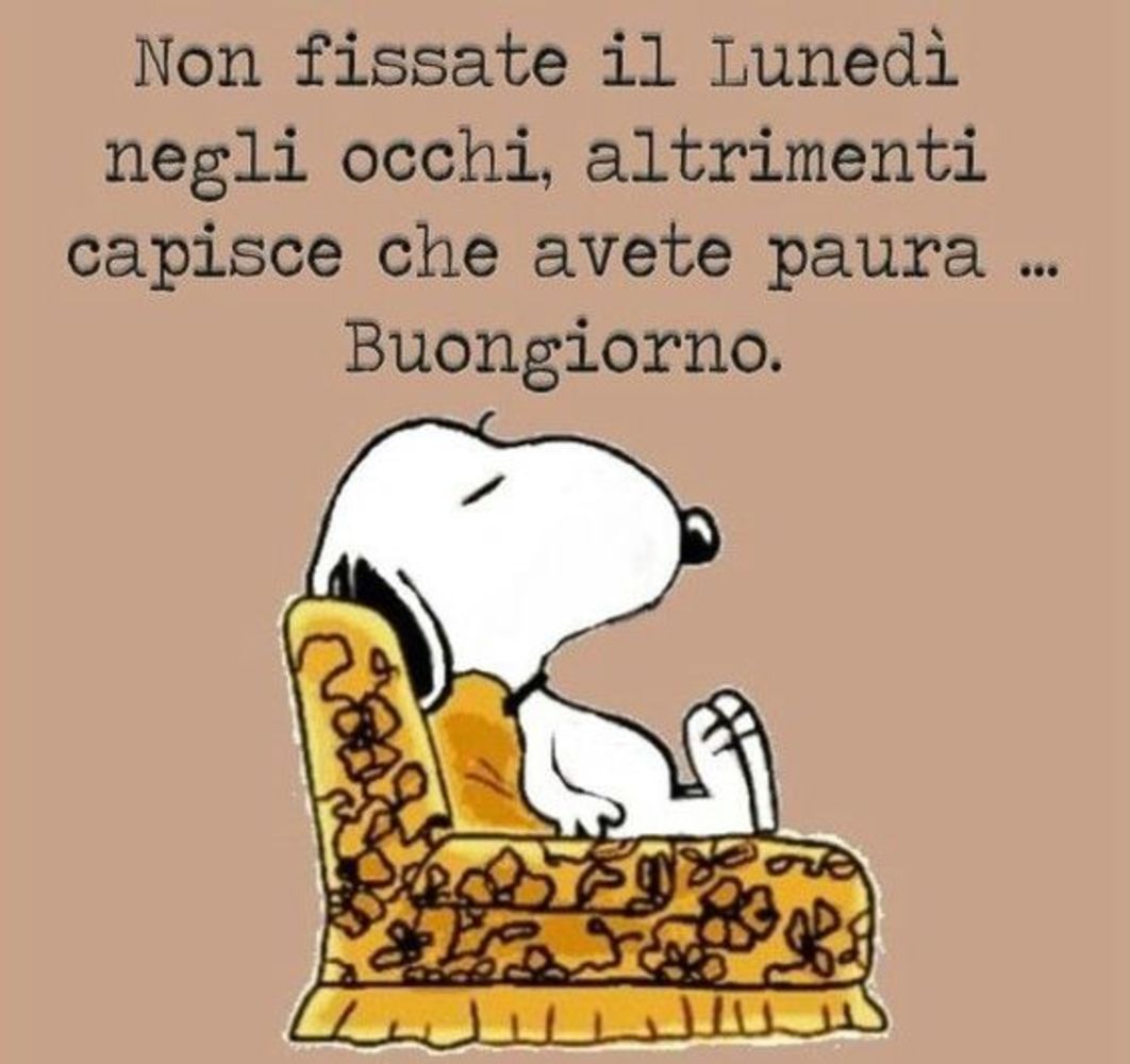 Frasi e immagini di buongiorno e buon lunedì, 21 febbraio 2022: le più belle da inviare