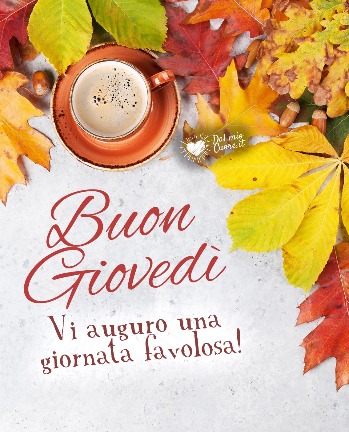 buon-giovedi-favoloso-1