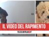 rapimento cane nola video
