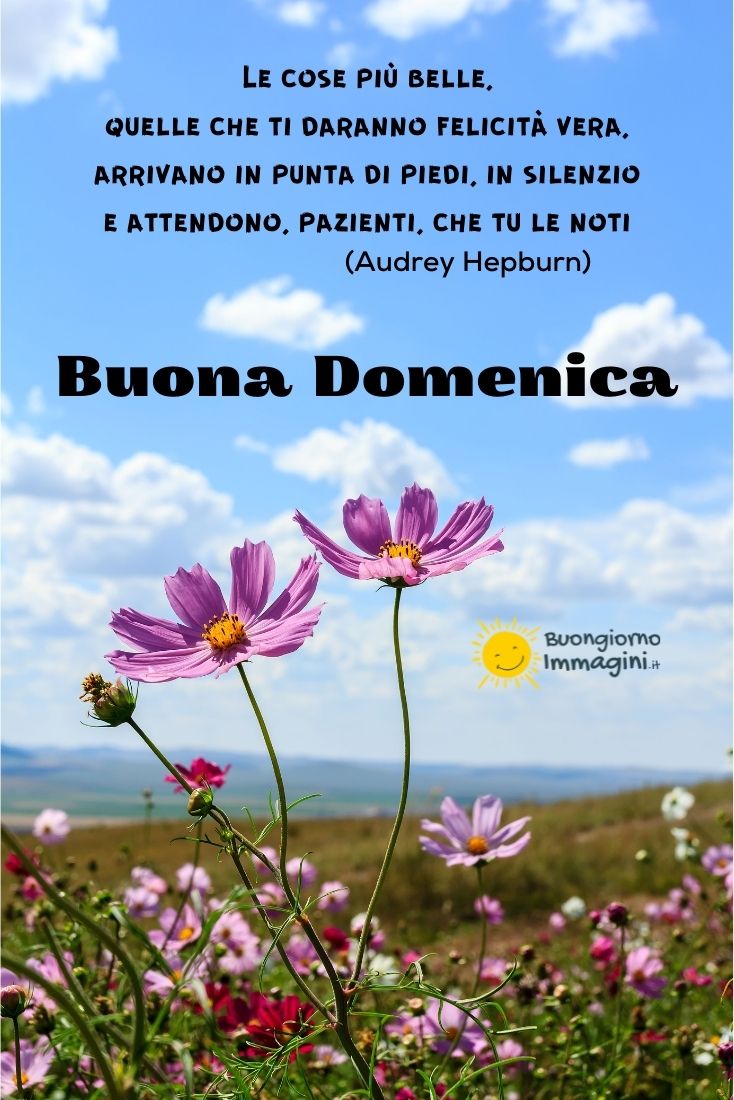 Frasi e immagini di buongiorno e buona domenica, 17 aprile 2022: le più belle da inviare