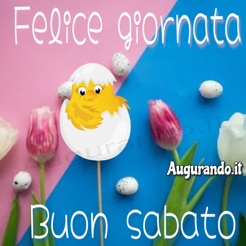 Frasi e immagini di buongiorno e buon sabato, 30 aprile 2022: le più belle da inviare