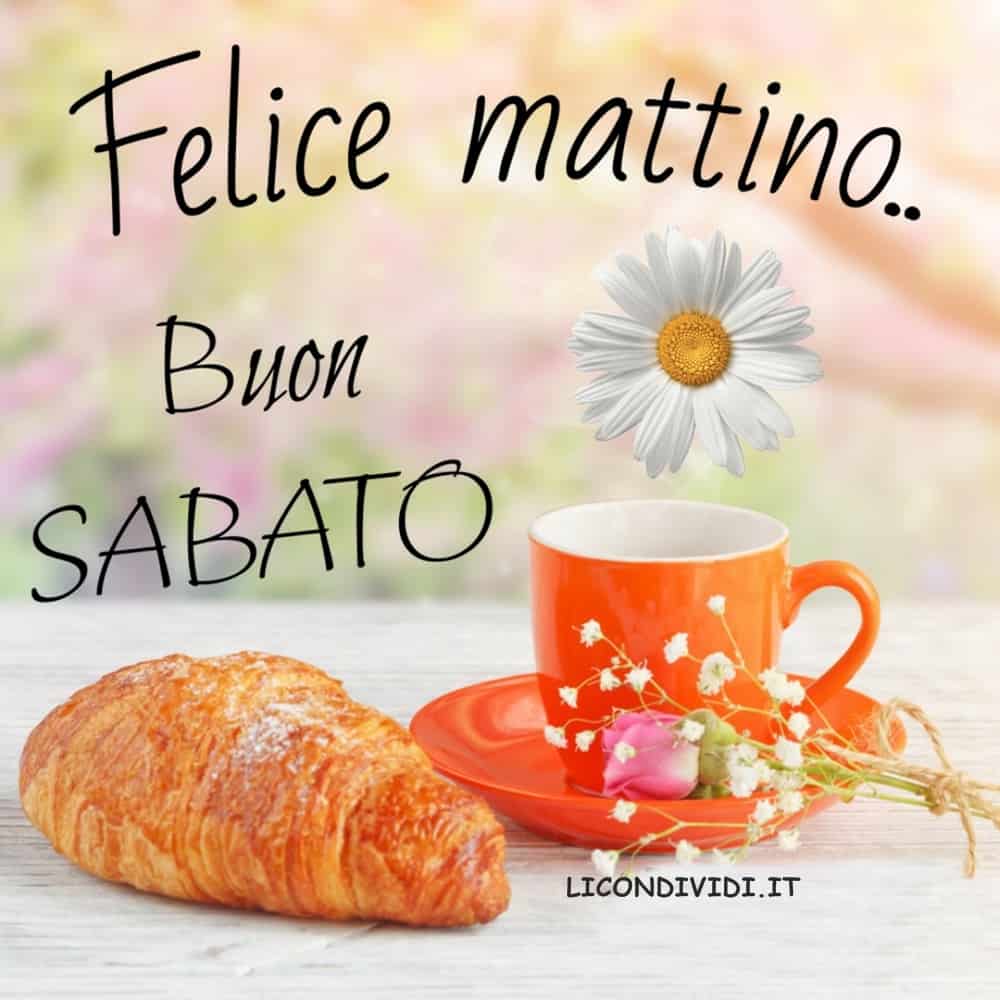 buon sabato  buon sabato amici  buon sabato foto  buon sabato immagini  buon sabato frasi  buon sabato a tutti  buongiorno sabato  immagini buon sabato  immagini di buon sabato  buon sabato amici   immagini buon sabato	 immagini buon sabato divertenti immagini buon sabato serafrasi contro la guerra immagini buon sabato contro la guerra buongiorno contro la guerra   immagini buongiorno immagini buongiorno divertenti	 immagini buongiorno amore	 immagini buongiorno gratis	 immagini buongiorno animate	 immagini buongiorno da scaricare gratis immagini buongiorno amici	 immagini buongiorno le ali del sorriso	 immagini buongiorno sabato	 immagini buongiorno amore mio immagini buongiorno marzo immagini buongiorno giovedì immagini buongiorno frizzante	 immagini buongiorno gratis per whatsapp	 immagini buongiorno 2022 immagini buongiorno glitter	 immagini buongiorno bellissime	 immagini buongiorno per whatsapp	 immagini buongiorno glitterate	 immagini buongiorno freddo immagini buongiorno freddoloso	 immagini buongiorno giovedi	 immagini buongiorno le fate del sole	 immagini buongiorno pinterest immagini buongiorno facebook	  immagini buongiorno whatsapp buongiorno e buon sabato   buongiorno e buon sabato a tutti	 immagini buongiorno buona giornata immagini buongiorno e buona settimana  immagini buongiorno sabato  buon sabato foto  felice sabato  buon sabato  immagini buon  sabato frasi  immagini del buon sabato  link buon sabato foto  buon sabato  foto di buon sabato  link di buon sabato  frasi di buon sabato  buon sabato immagini gif  buon sabato immagini simpatiche  buon sabato glitter gif  auguri di buon sabato  buon sabato a tutti  cartoline spiritose di buon sabato  immagini felice 