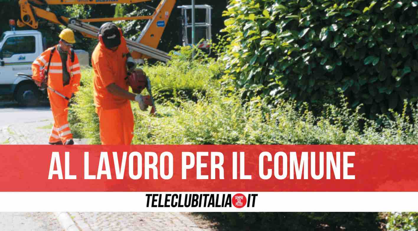 reddito cittadinanza lavoro comune marano melito reddito cittadinanza lavoro comune marano melito