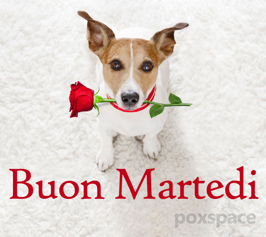 Frasi e immagini di buongiorno e buon martedì, 3 maggio 2022: le più belle da inviare