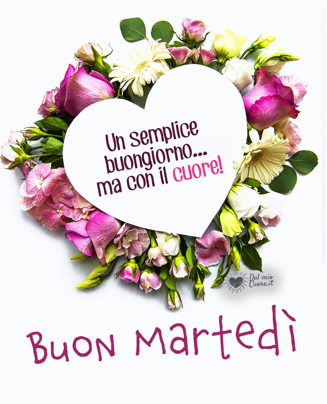 Frasi e immagini di buongiorno e buon martedì, 26 aprile 2022: le più belle da inviare