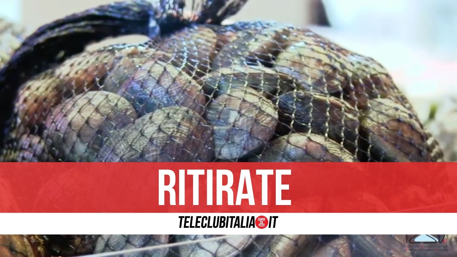 vongole ritirate