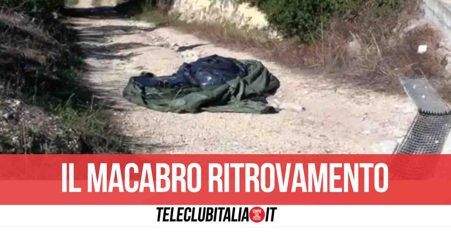 scisciano ritrovato cadavere sacco di plastica scisciano ritrovato cadavere sacco di plastica