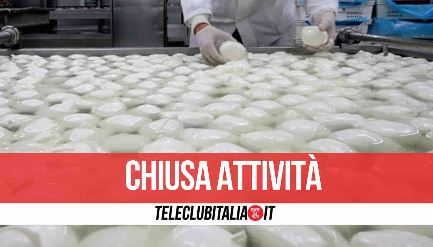 caserta blitz nas chiuso caseificio caserta blitz nas chiuso caseificio