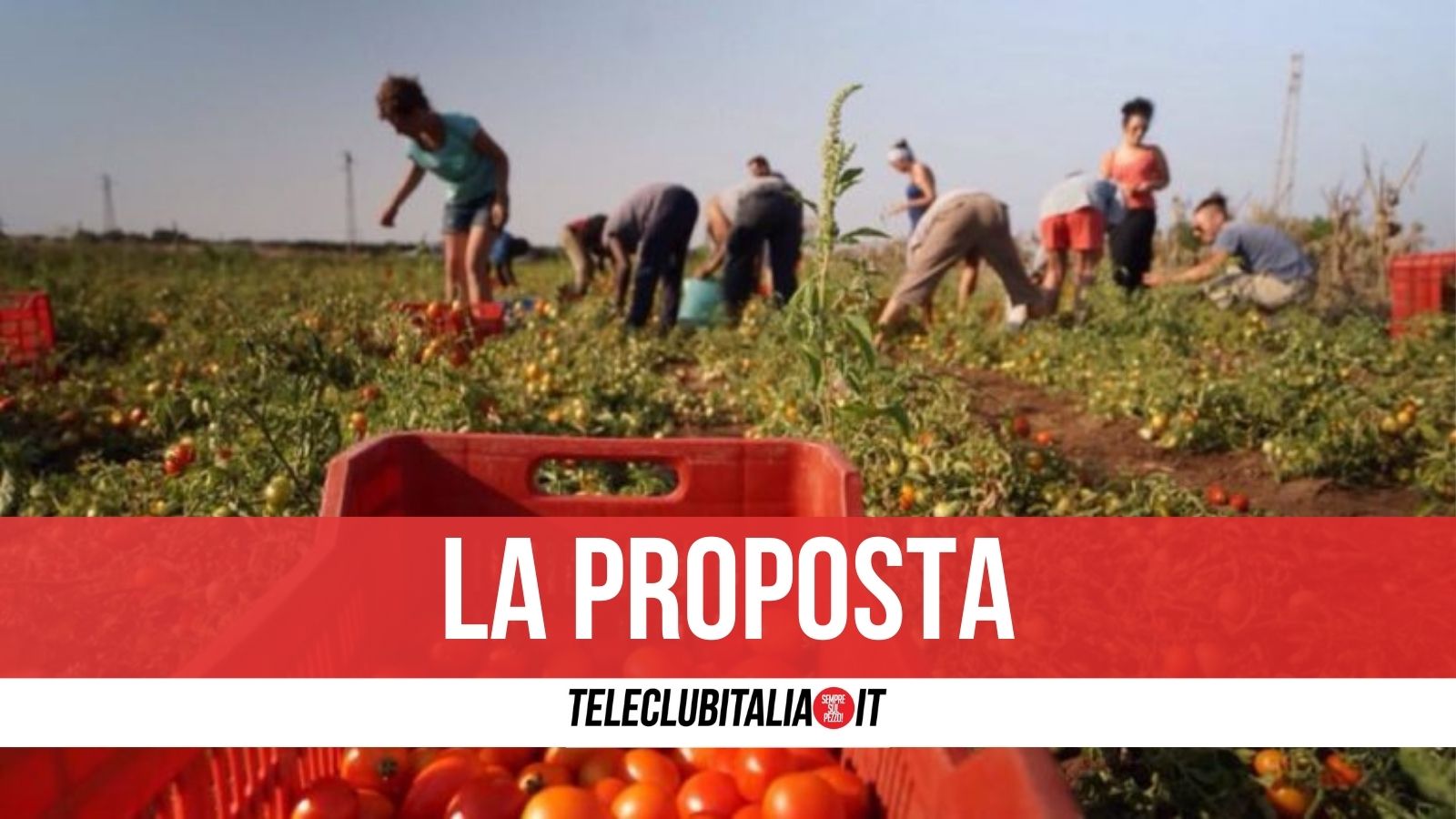 reddito di cittadinanza