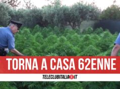scarcerato 62enne licola piante cannabis