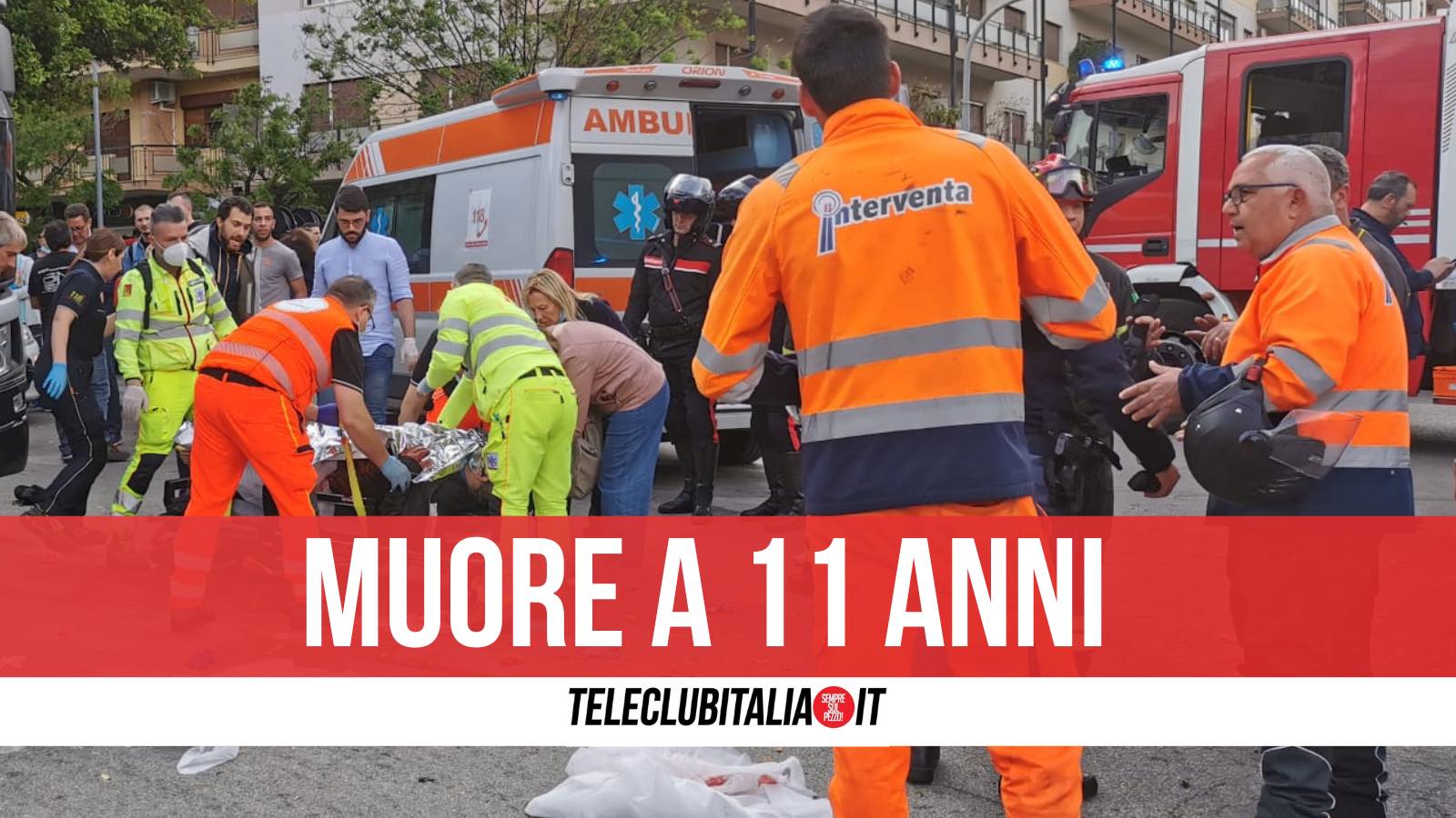 terracina romeo golia morto investito terracina romeo golia morto investito