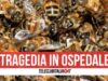 api killer campania muore donna 50 anni
