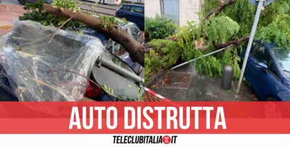 Tragedia sfiorata a Napoli, albero crolla su auto in sosta