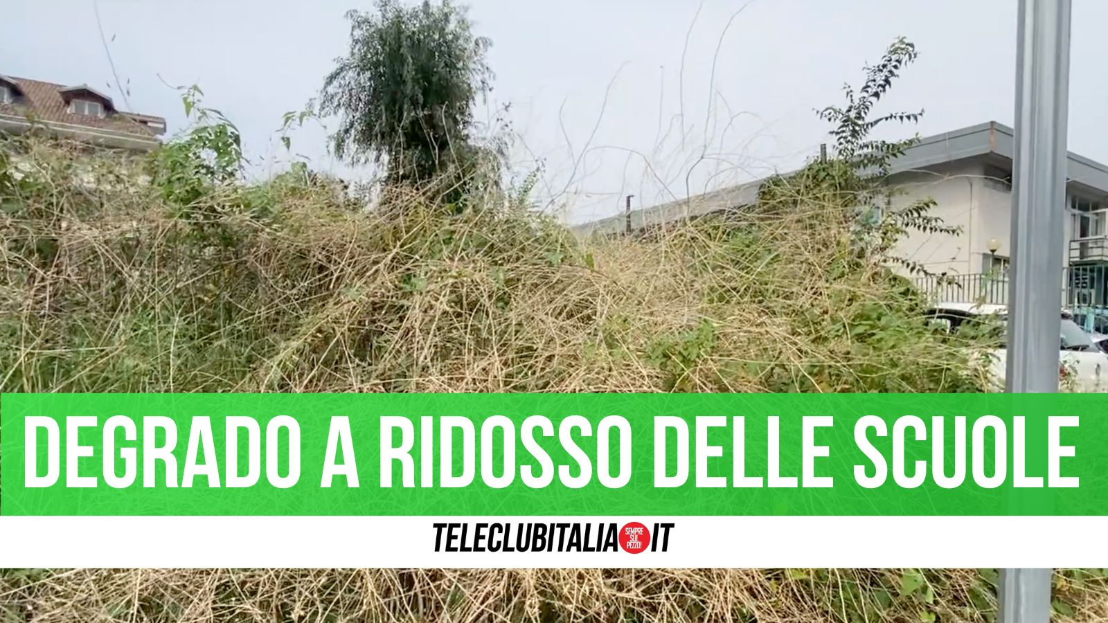 degrado scuole